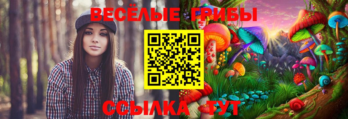 Псилоцибиновые грибы прущие грибы Лангепас